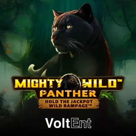 bino-betmighty-wild-panther.webp